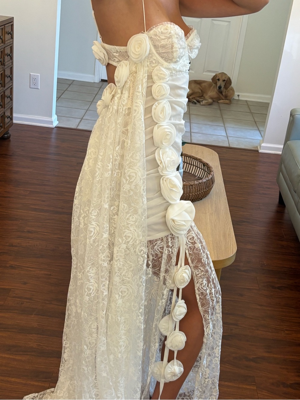 For love and lemons belany gown